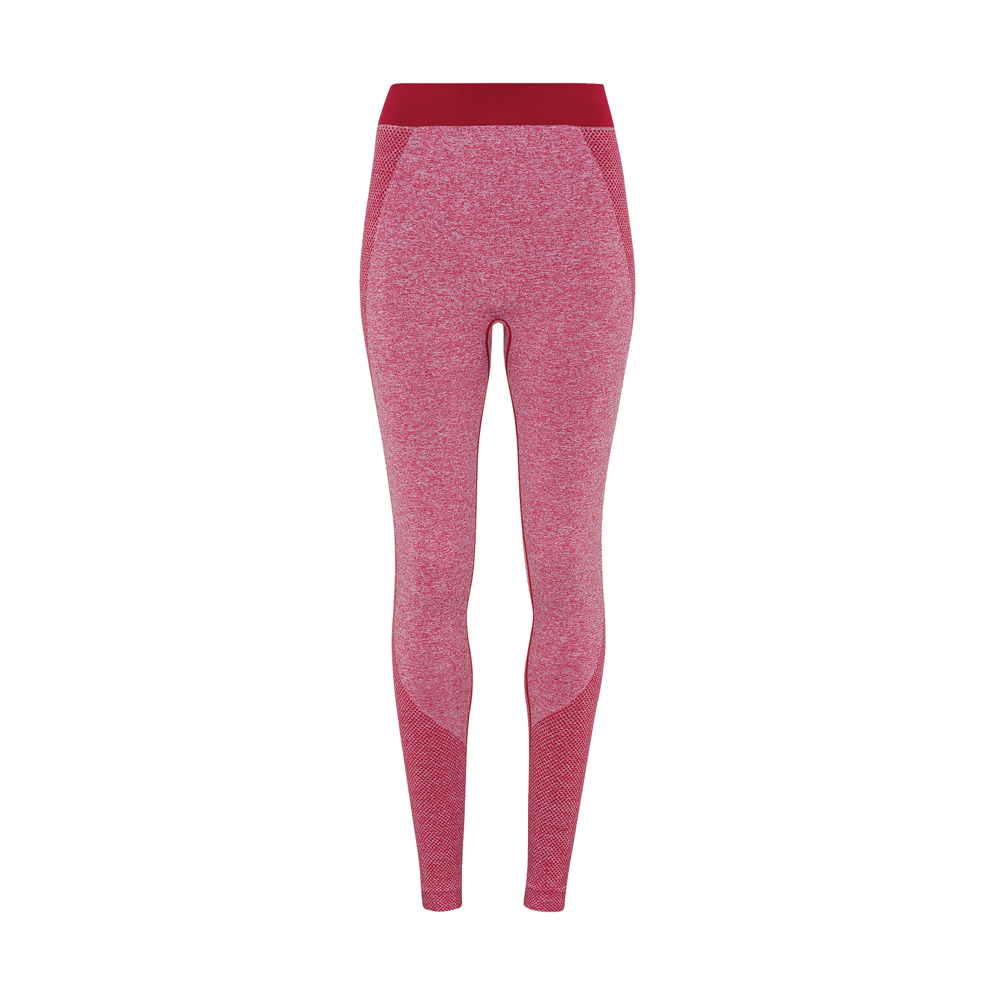Seamless Contrast Leggings - UntilFailure